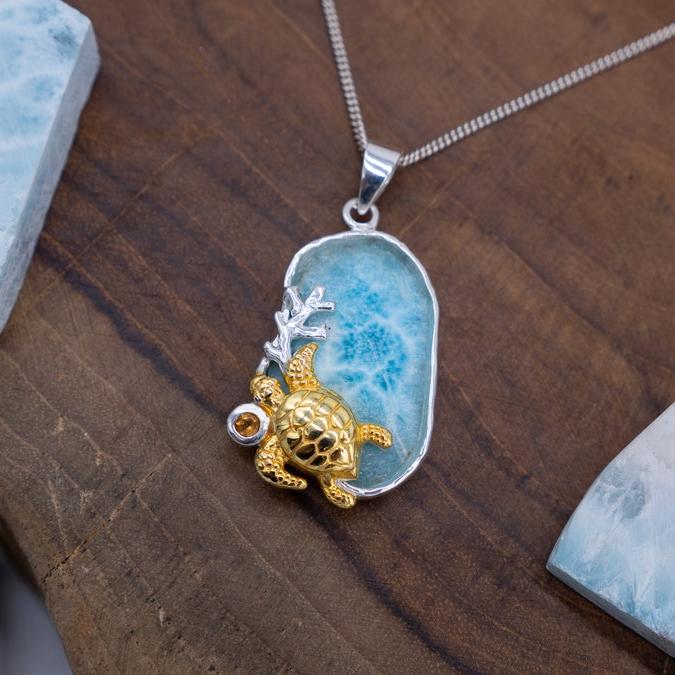 Silver Turtle Necklace