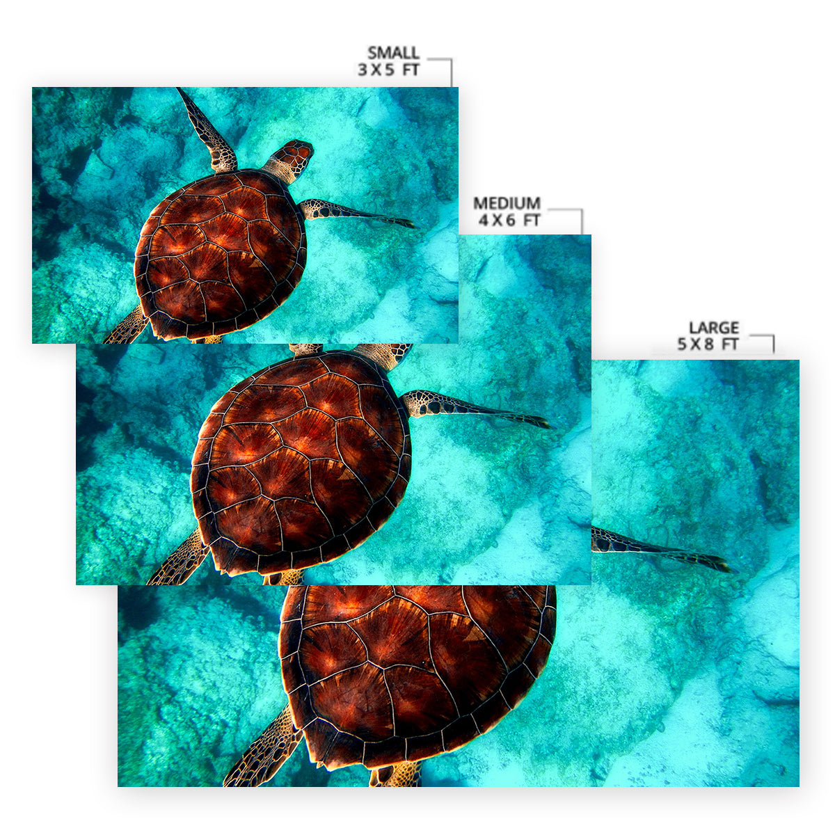 Sea Turtle Vibes Area Rug