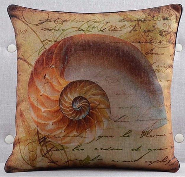 Coastal Shell Collection