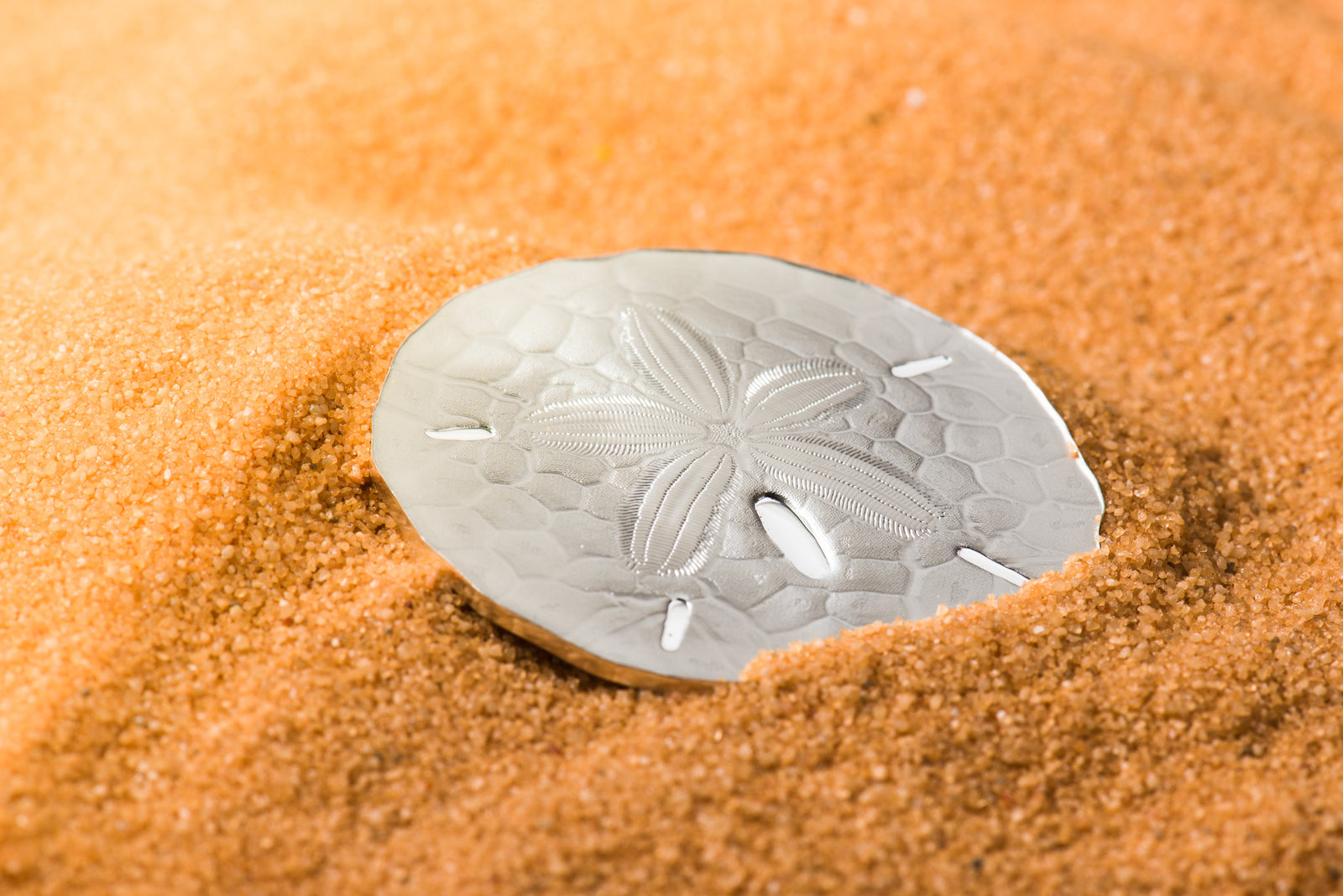 Sand Dollars