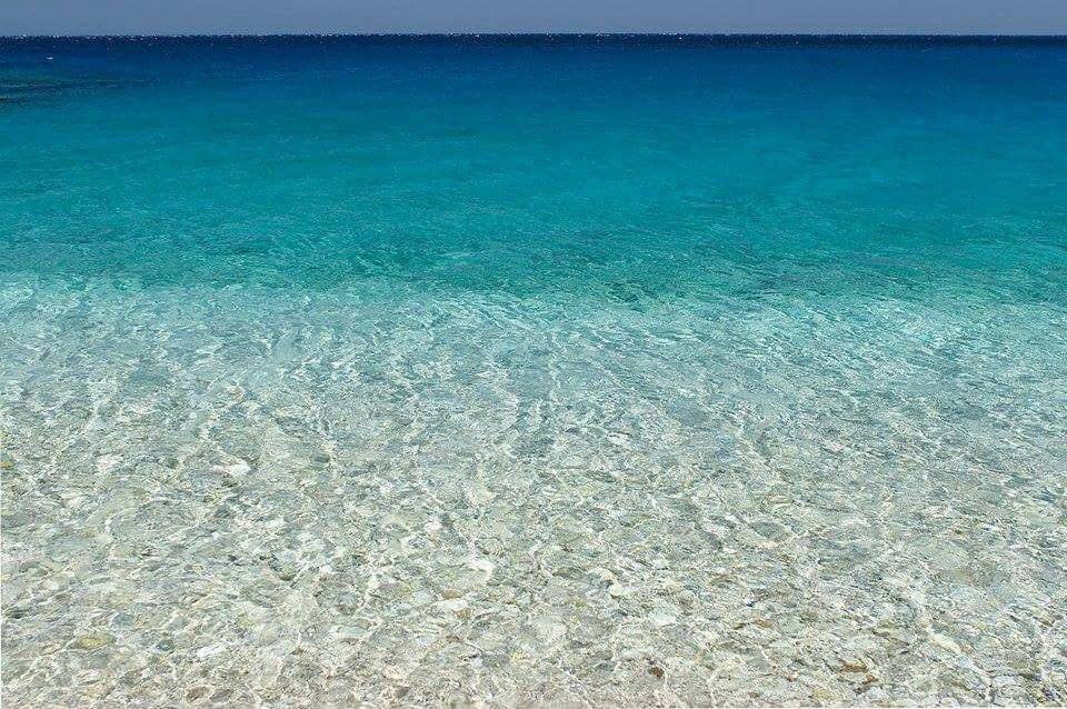 Ocean Life