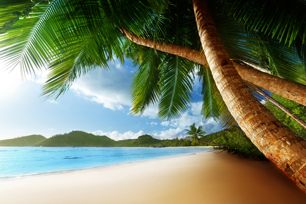 Tropical Passion