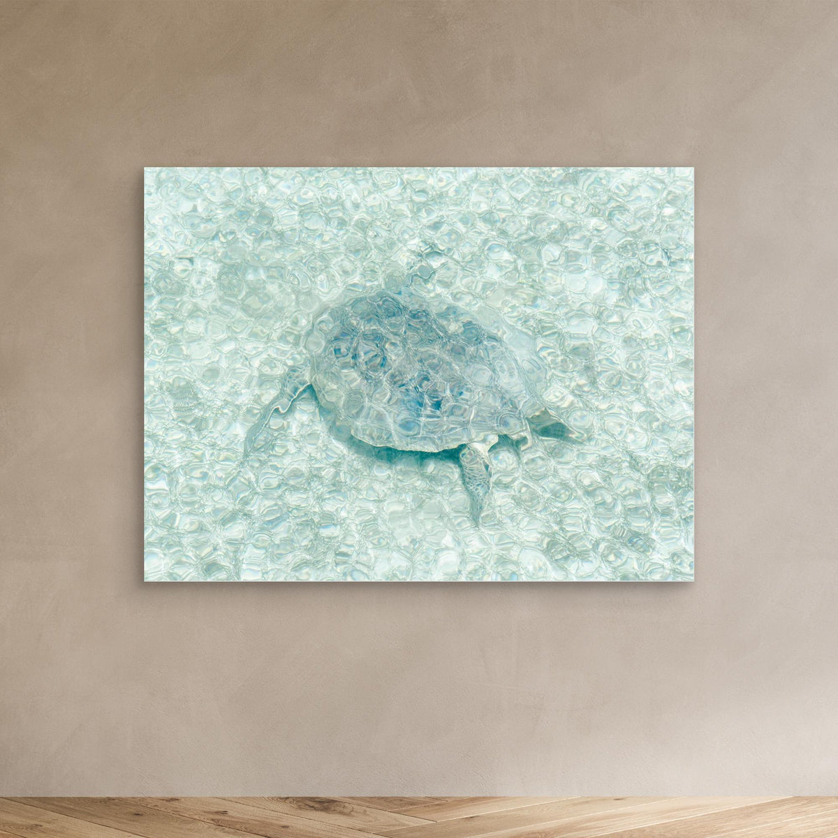 Canvas Print - Turtle Underwater by Photolovers