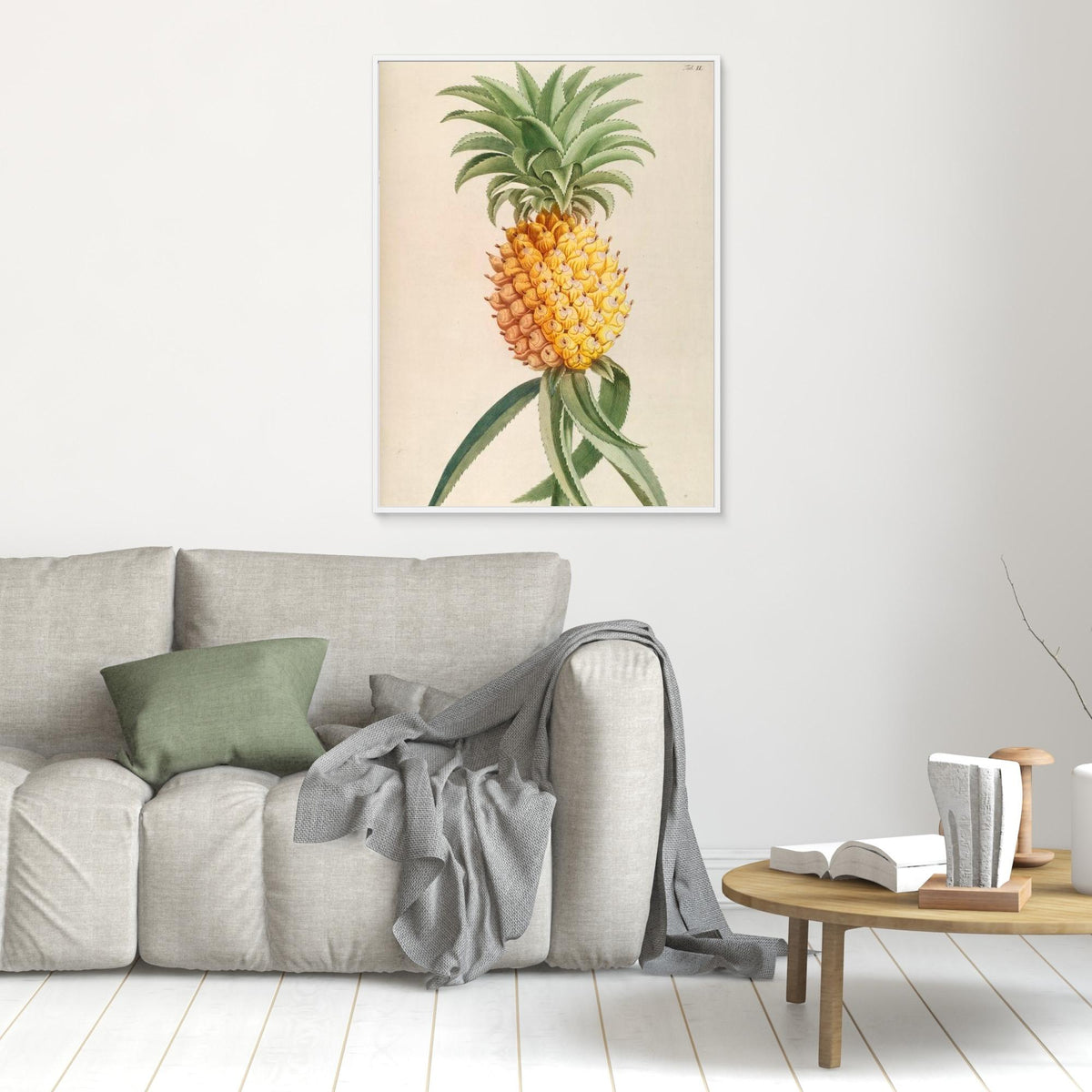 Canvas Print - Ananas by Elizabeth C
