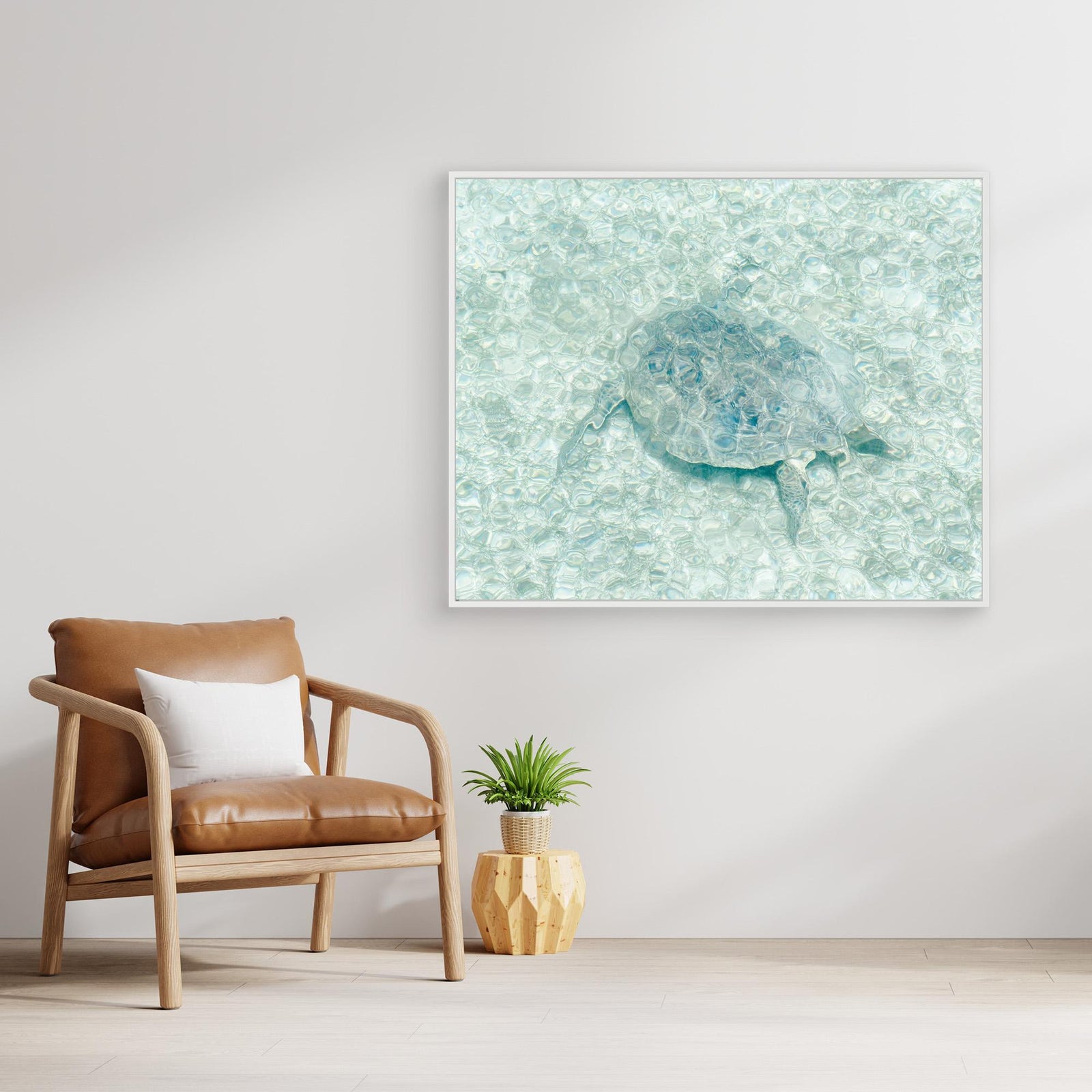 Canvas Print - Turtle Underwater by Photolovers