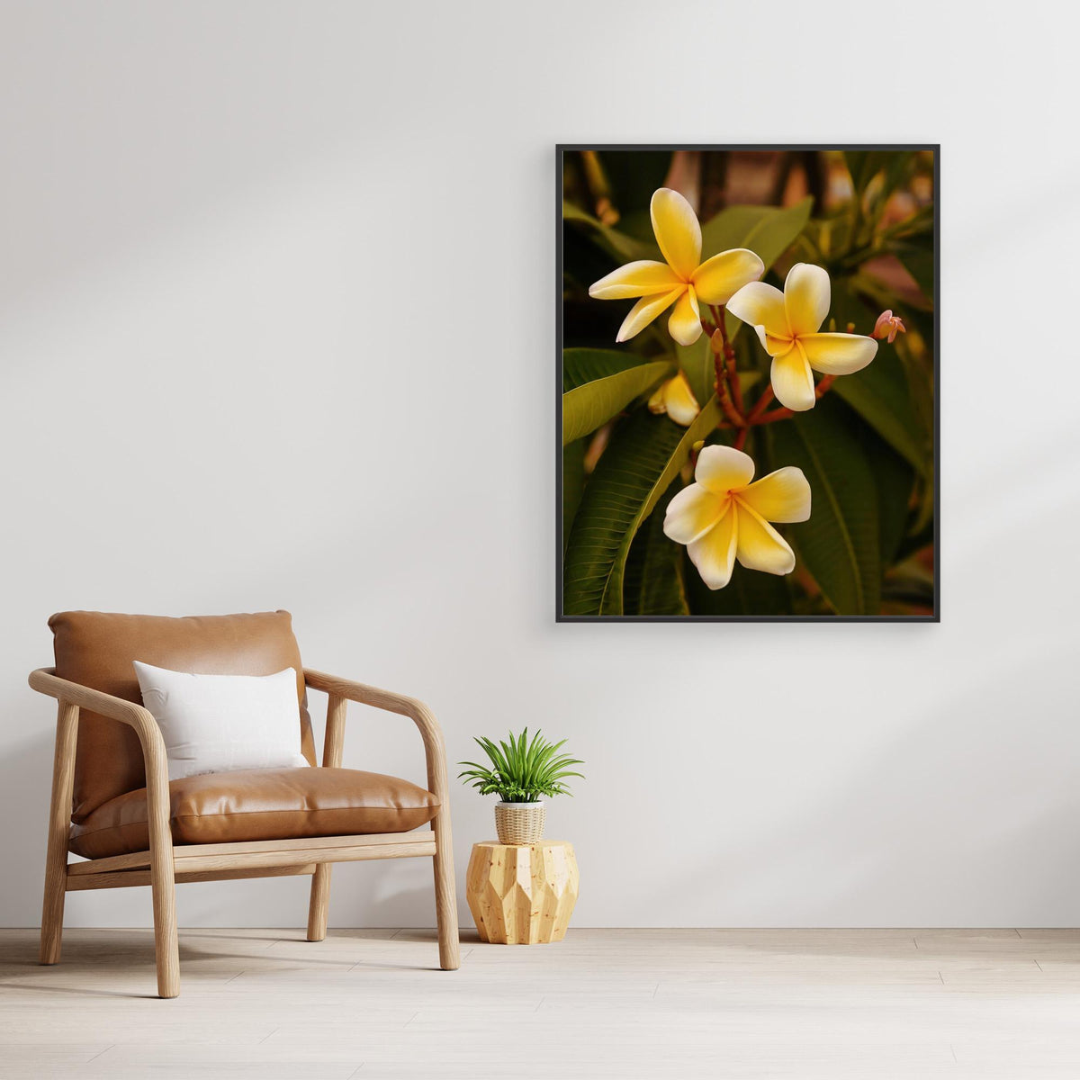 Canvas Print - Plumerias by Del Mundo Imagery