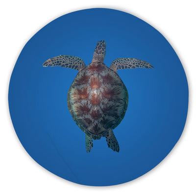 Turtle Round Area Rug