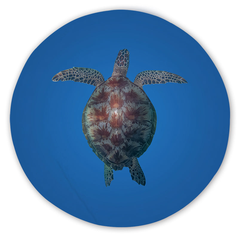 Turtle Round Area Rug