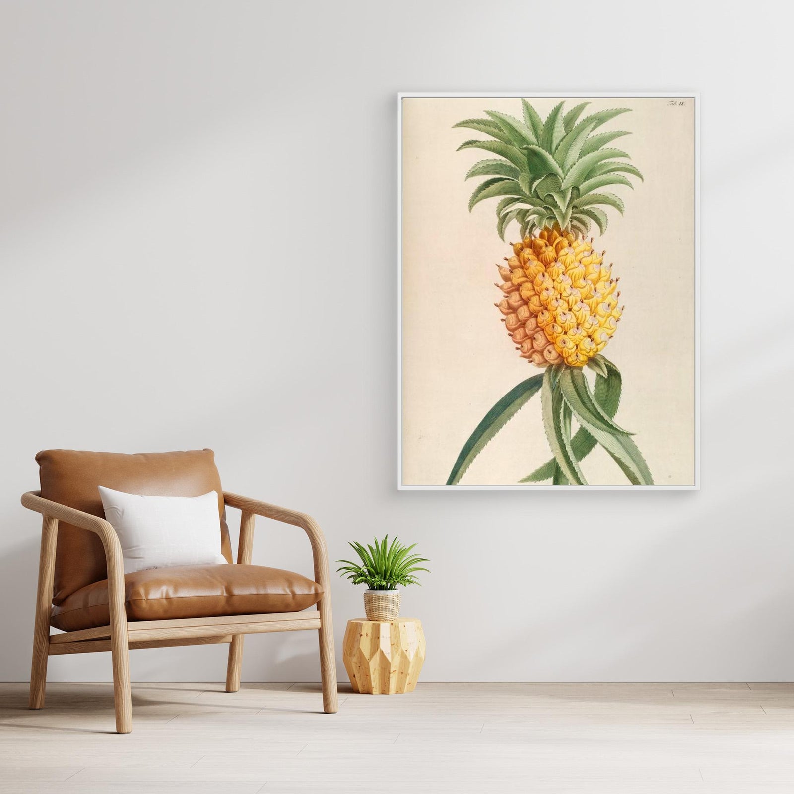 Canvas Print - Ananas by Elizabeth C