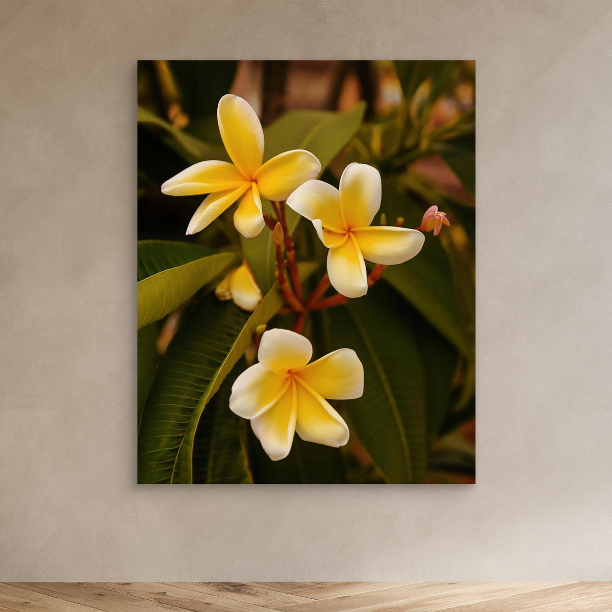 Canvas Print - Plumerias by Del Mundo Imagery