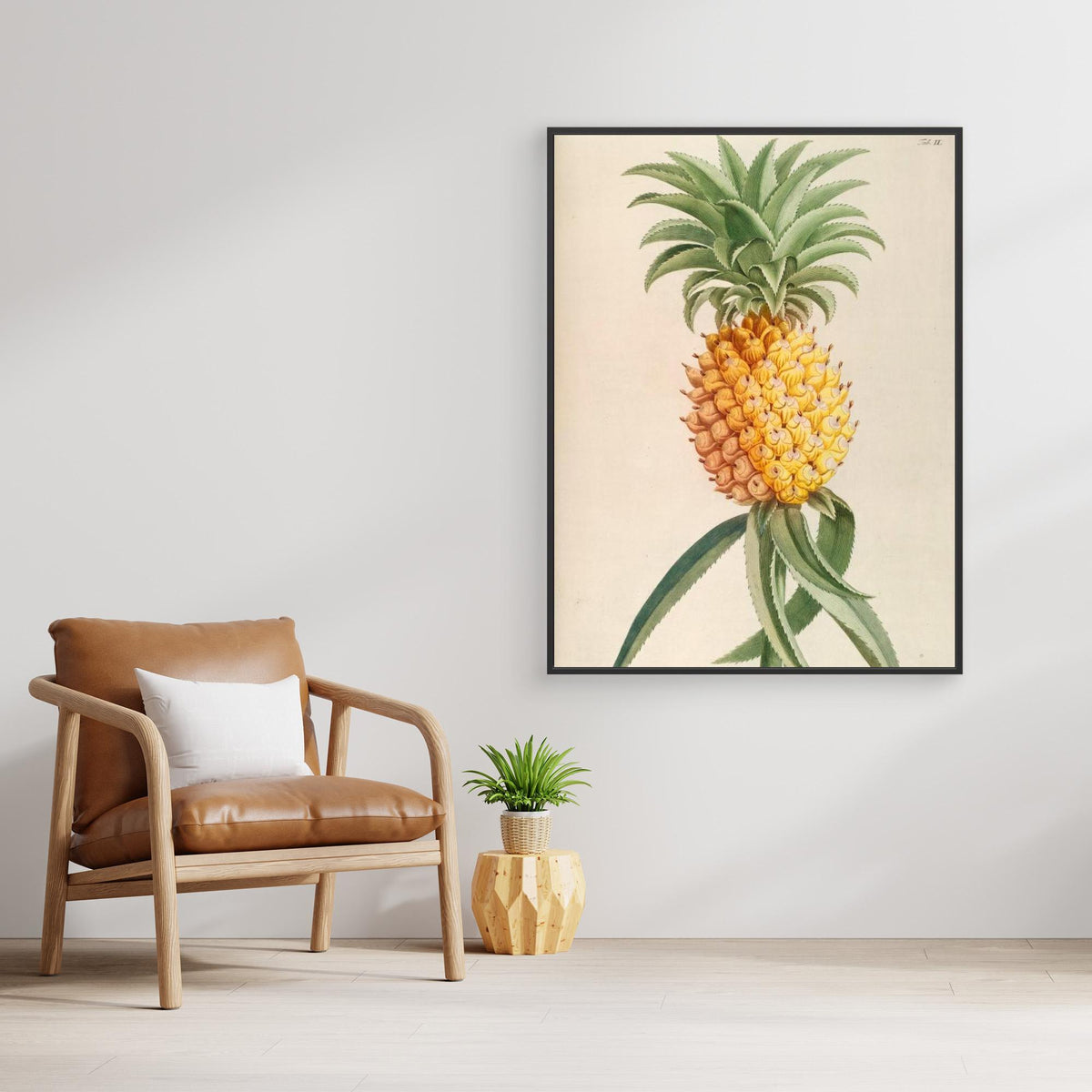 Canvas Print - Ananas by Elizabeth C