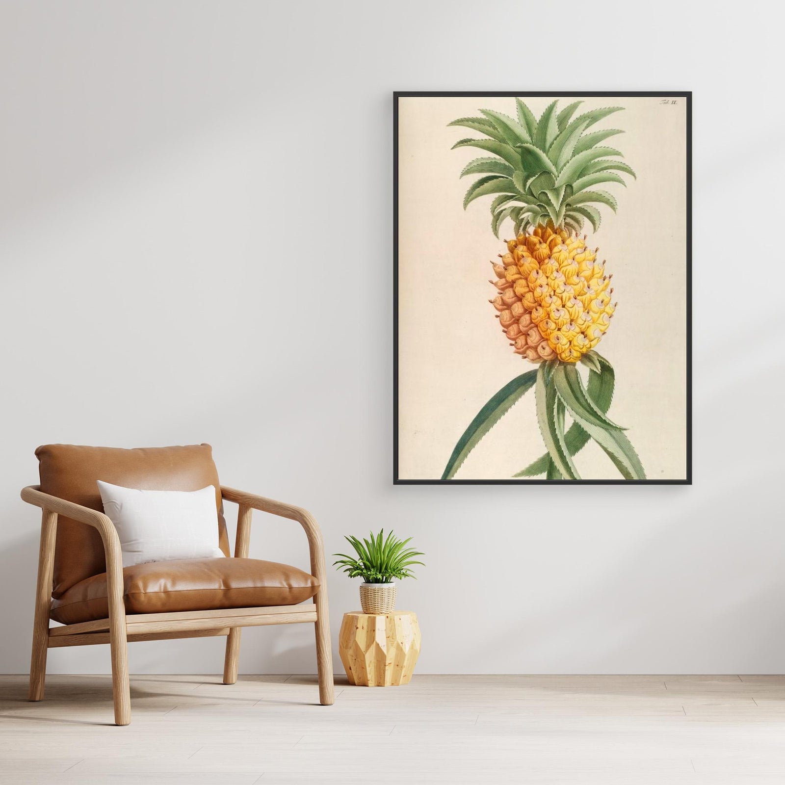 Canvas Print - Ananas by Elizabeth C