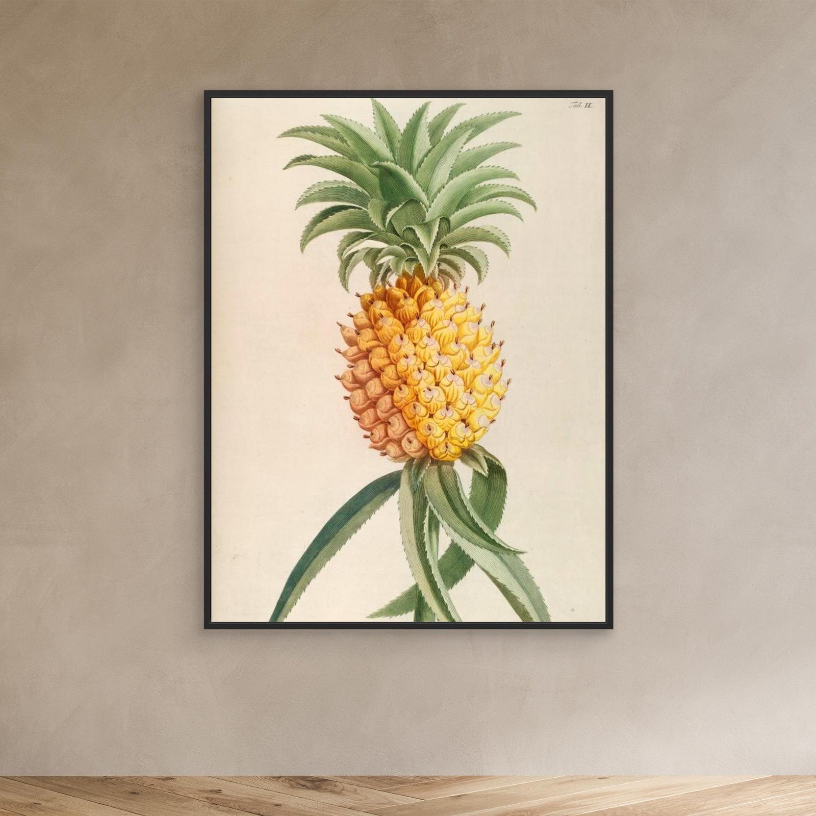 Canvas Print - Ananas by Elizabeth C