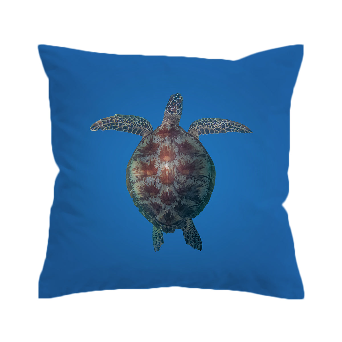 Turtle Pillow Cover