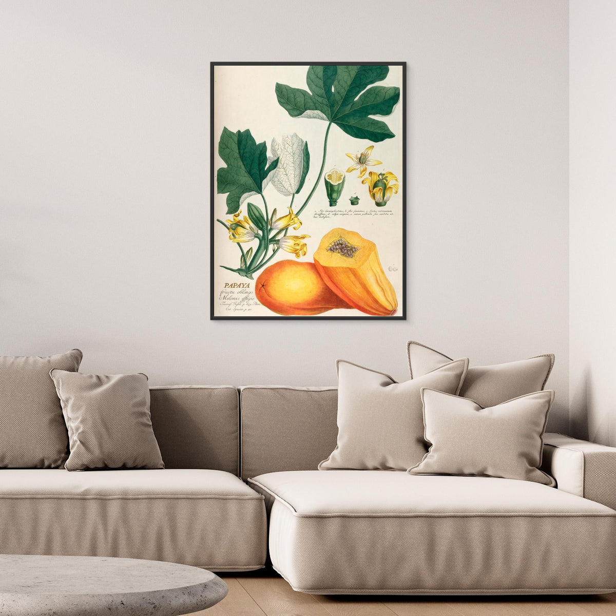 Canvas Print - Papaya by Elizabeth C