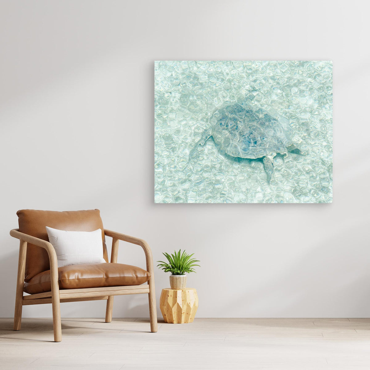 Canvas Print - Turtle Underwater by Photolovers