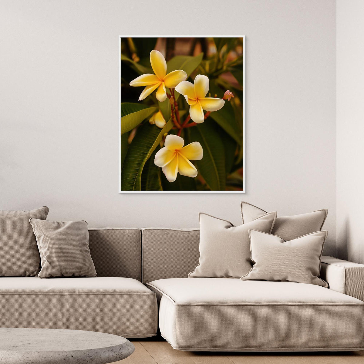 Canvas Print - Plumerias by Del Mundo Imagery