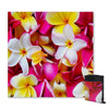 Frangipani Passion Sand Free Towel