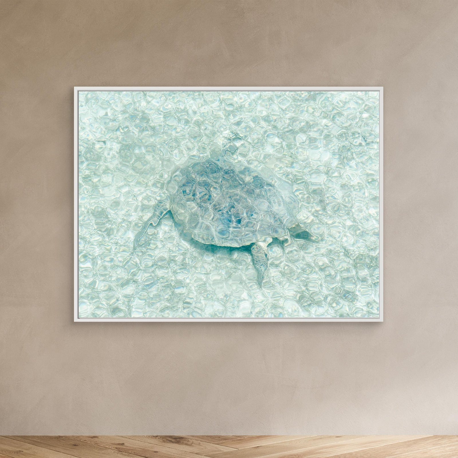Canvas Print - Turtle Underwater by Photolovers