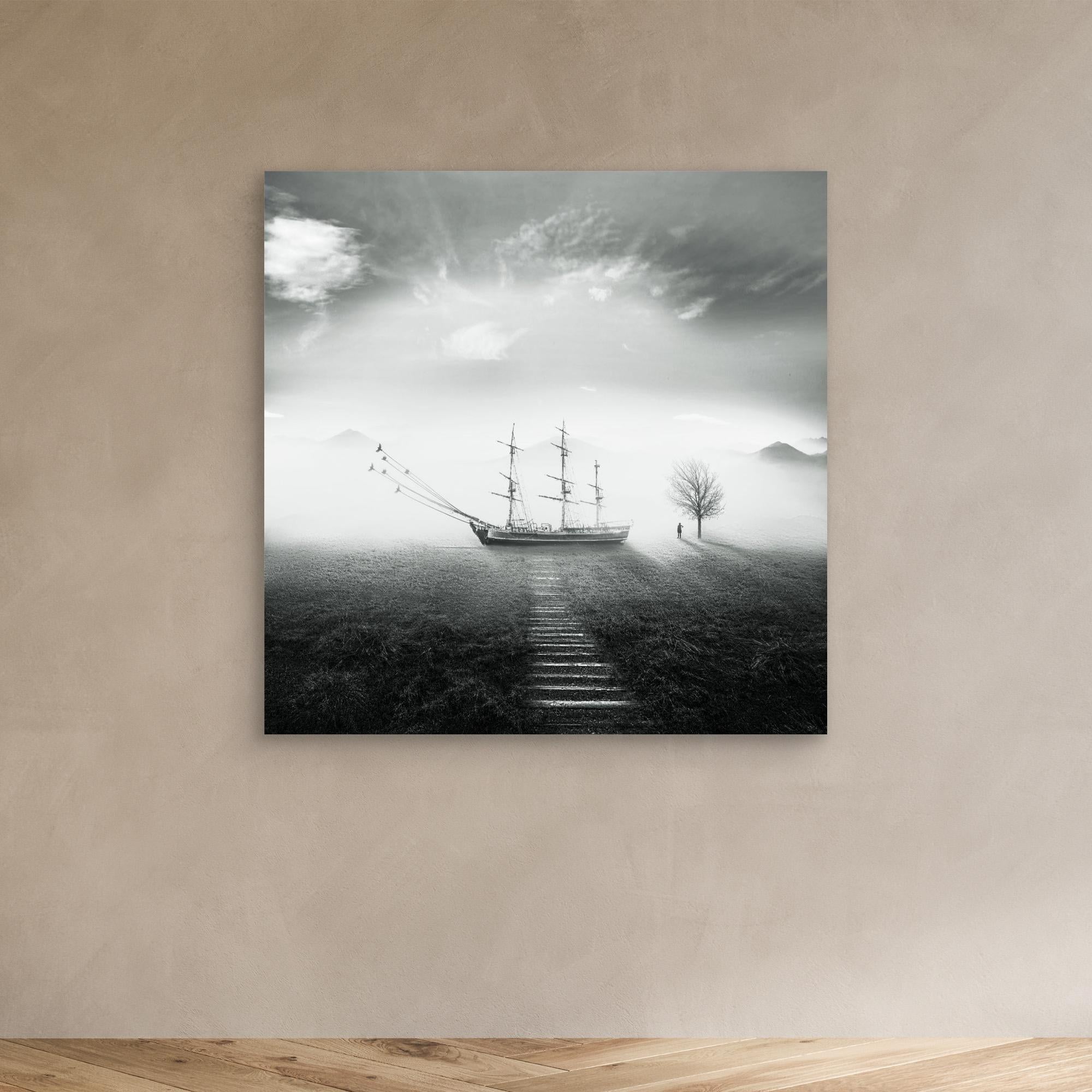 Canvas Print - Help by Hadi Malijani