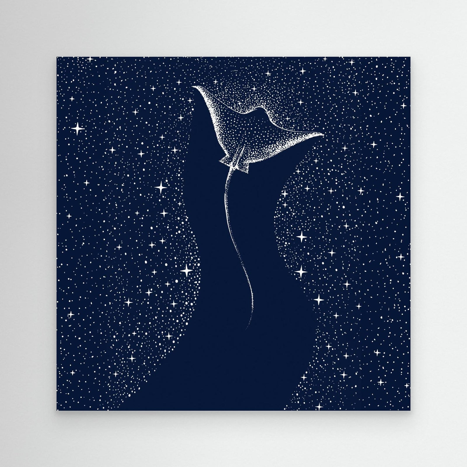 Canvas Print - Star Collector by Alirıza çakir
