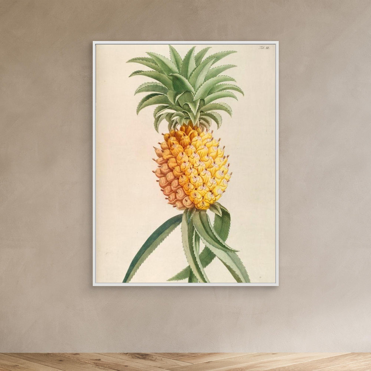 Canvas Print - Ananas by Elizabeth C