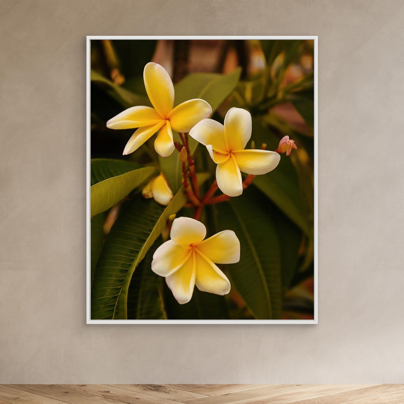 Canvas Print - Plumerias by Del Mundo Imagery