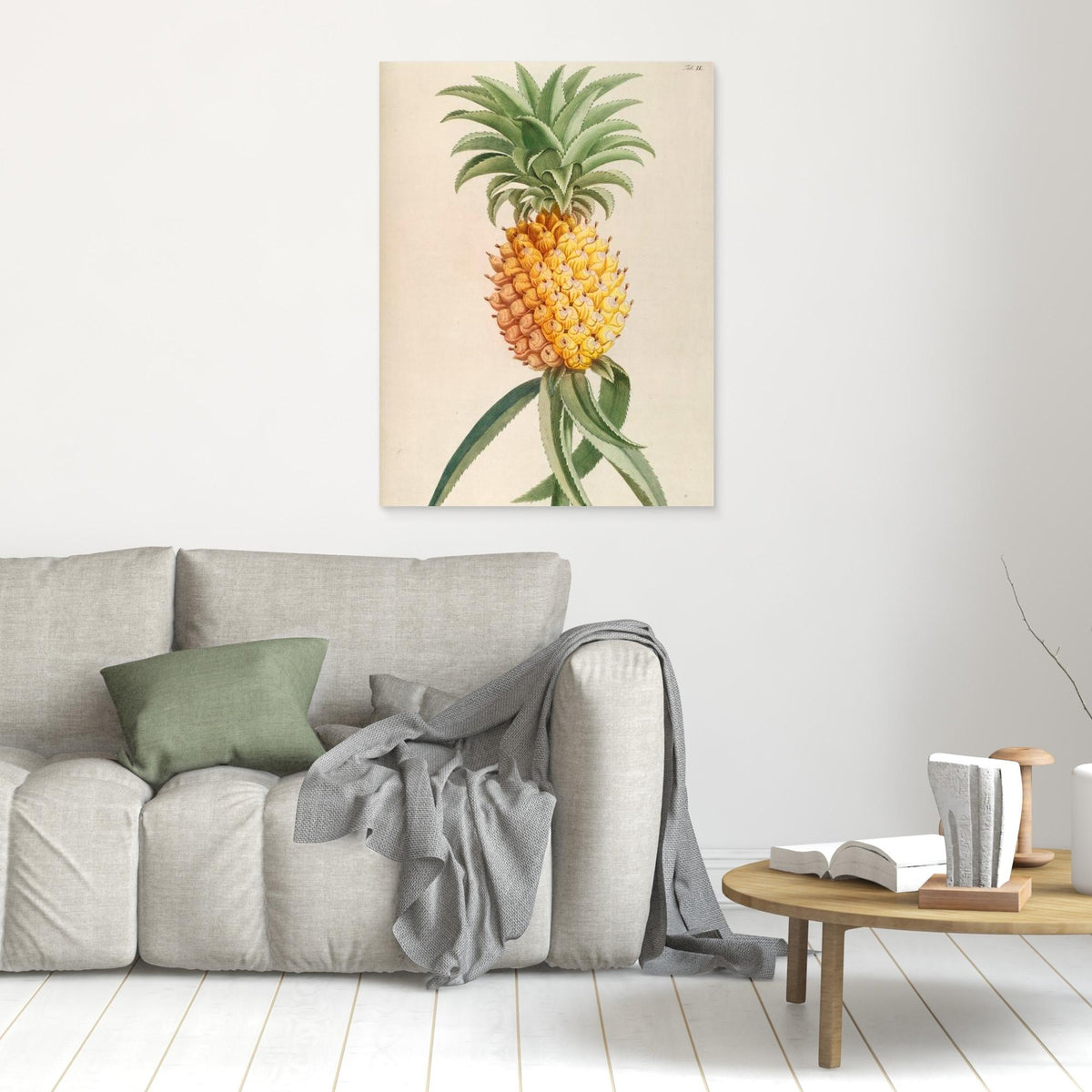 Canvas Print - Ananas by Elizabeth C