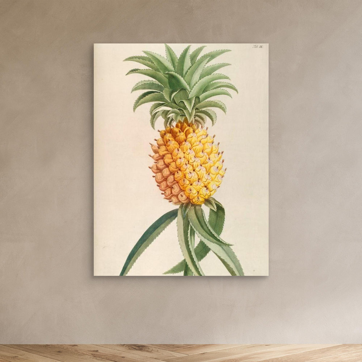 Canvas Print - Ananas by Elizabeth C