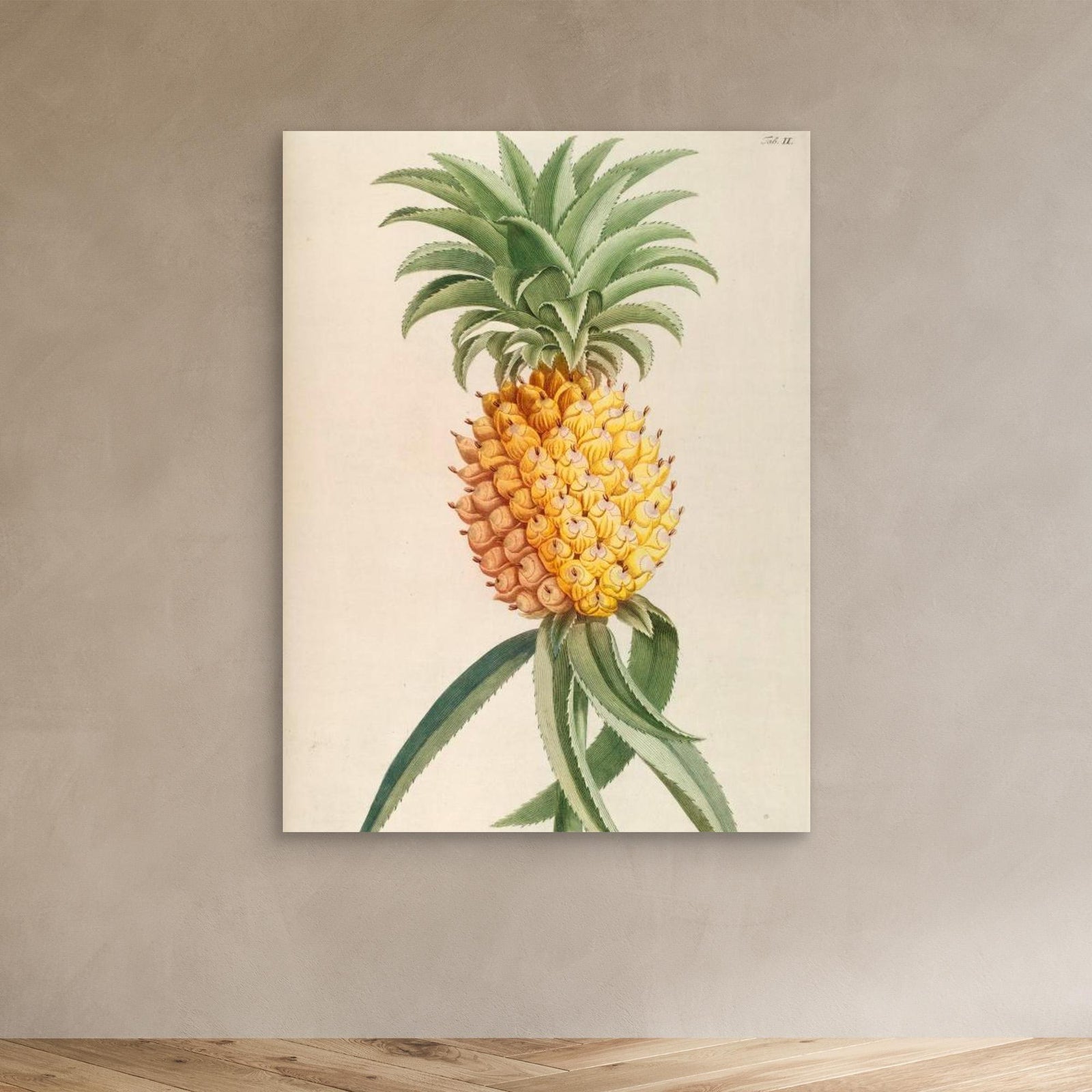Canvas Print - Ananas by Elizabeth C
