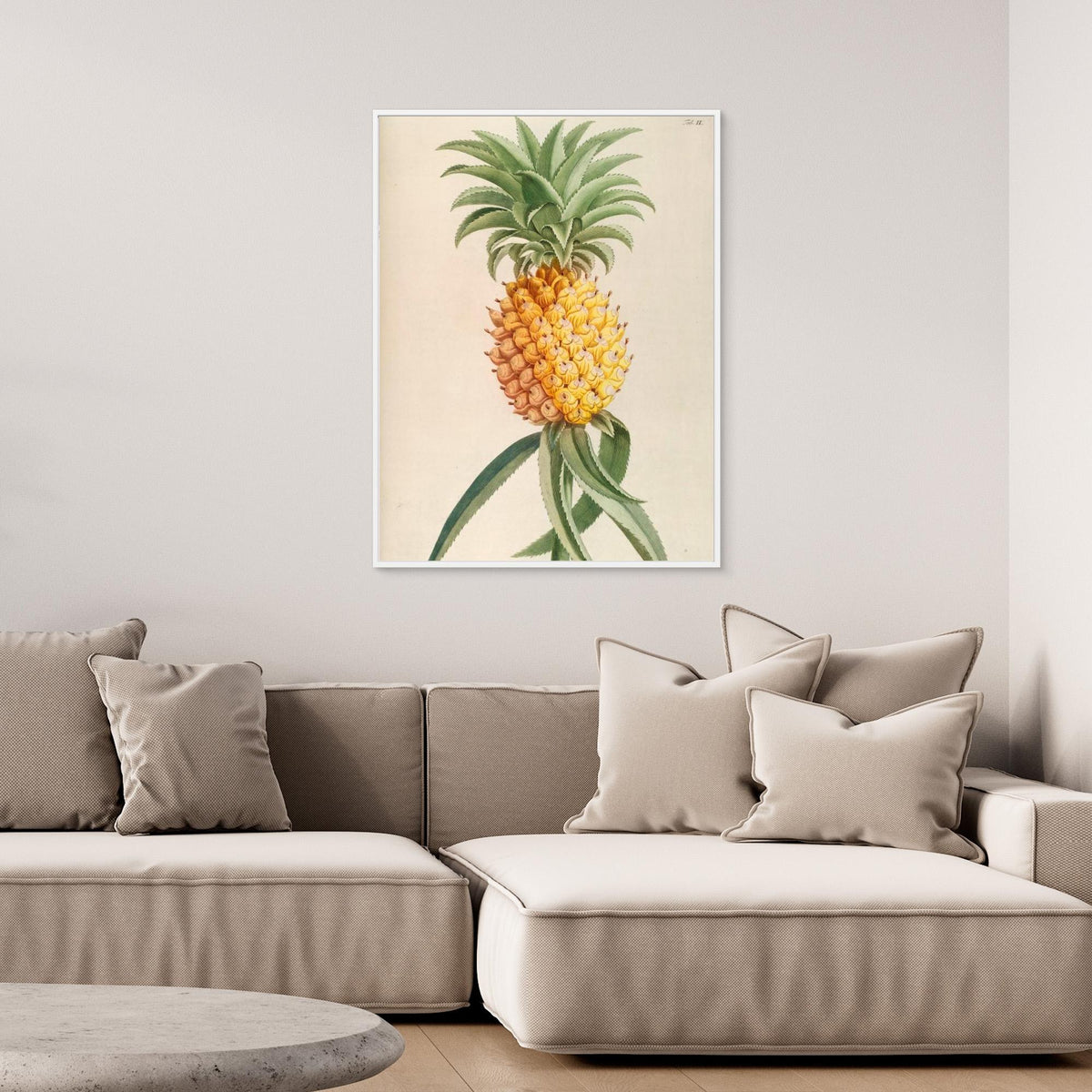 Canvas Print - Ananas by Elizabeth C