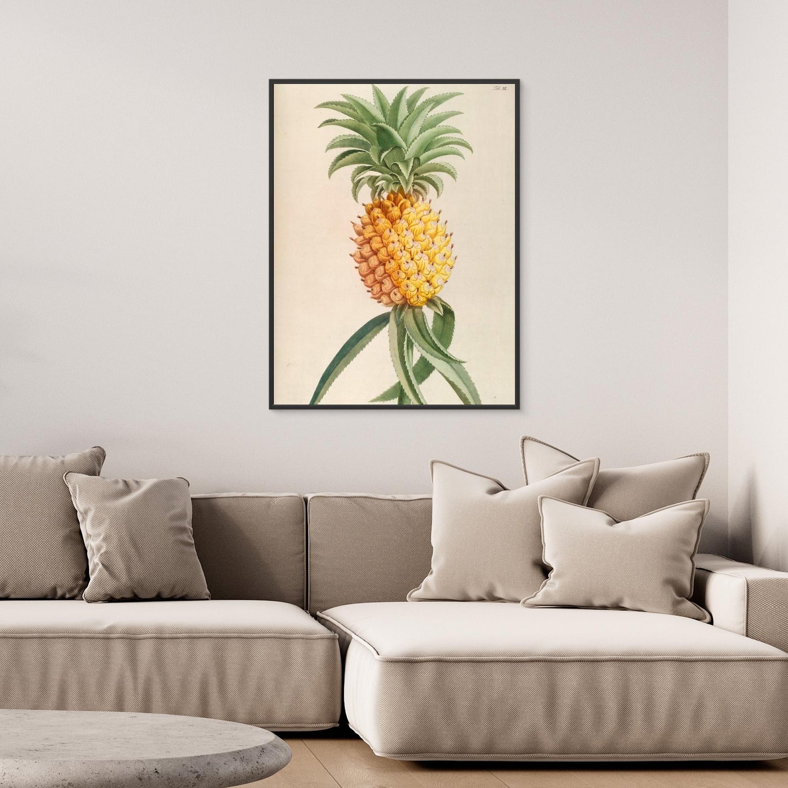 Canvas Print - Ananas by Elizabeth C