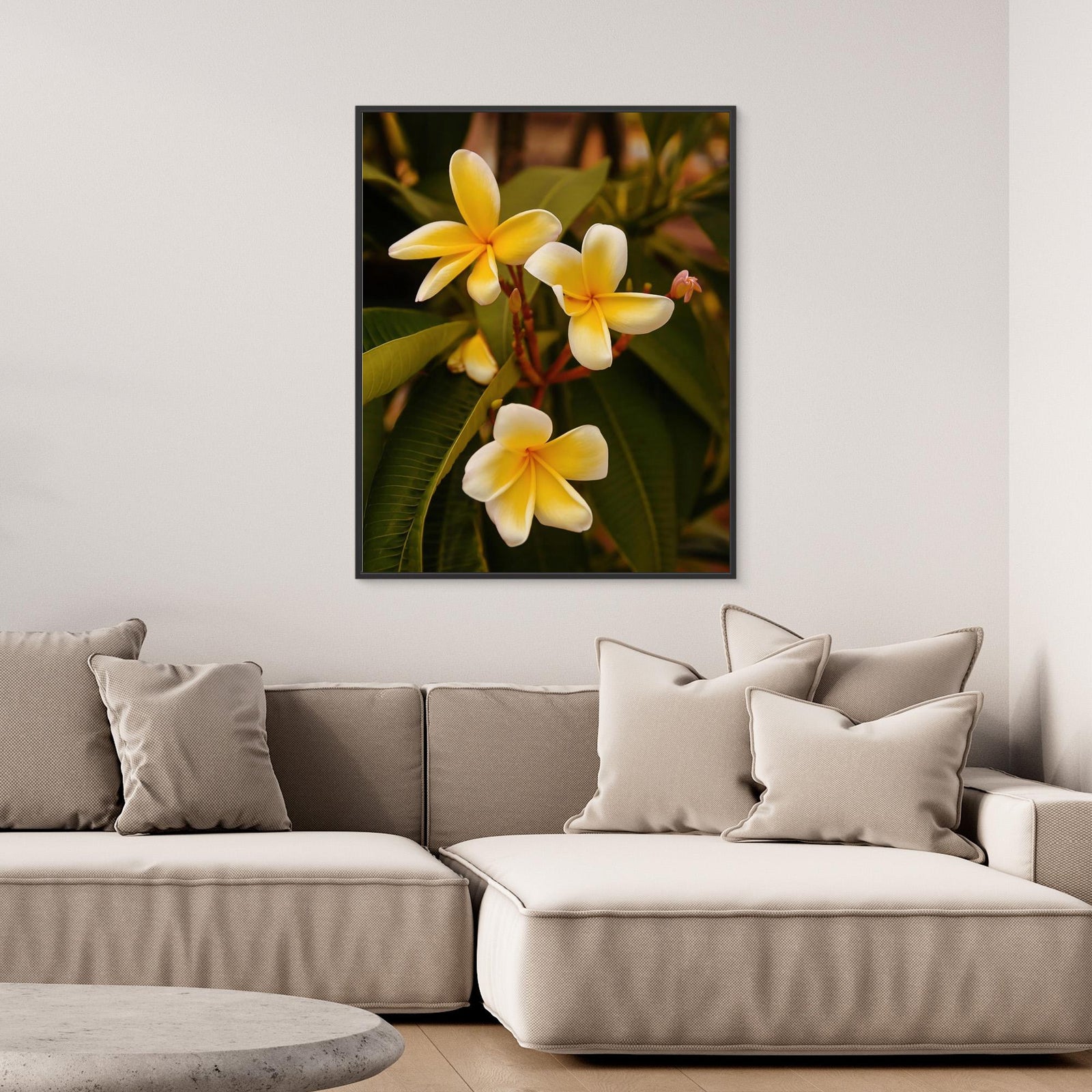 Canvas Print - Plumerias by Del Mundo Imagery