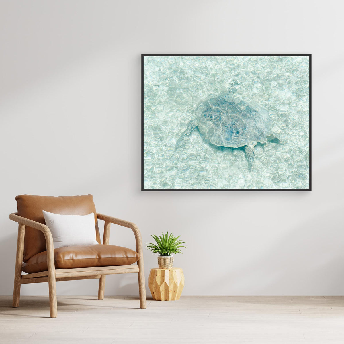Canvas Print - Turtle Underwater by Photolovers