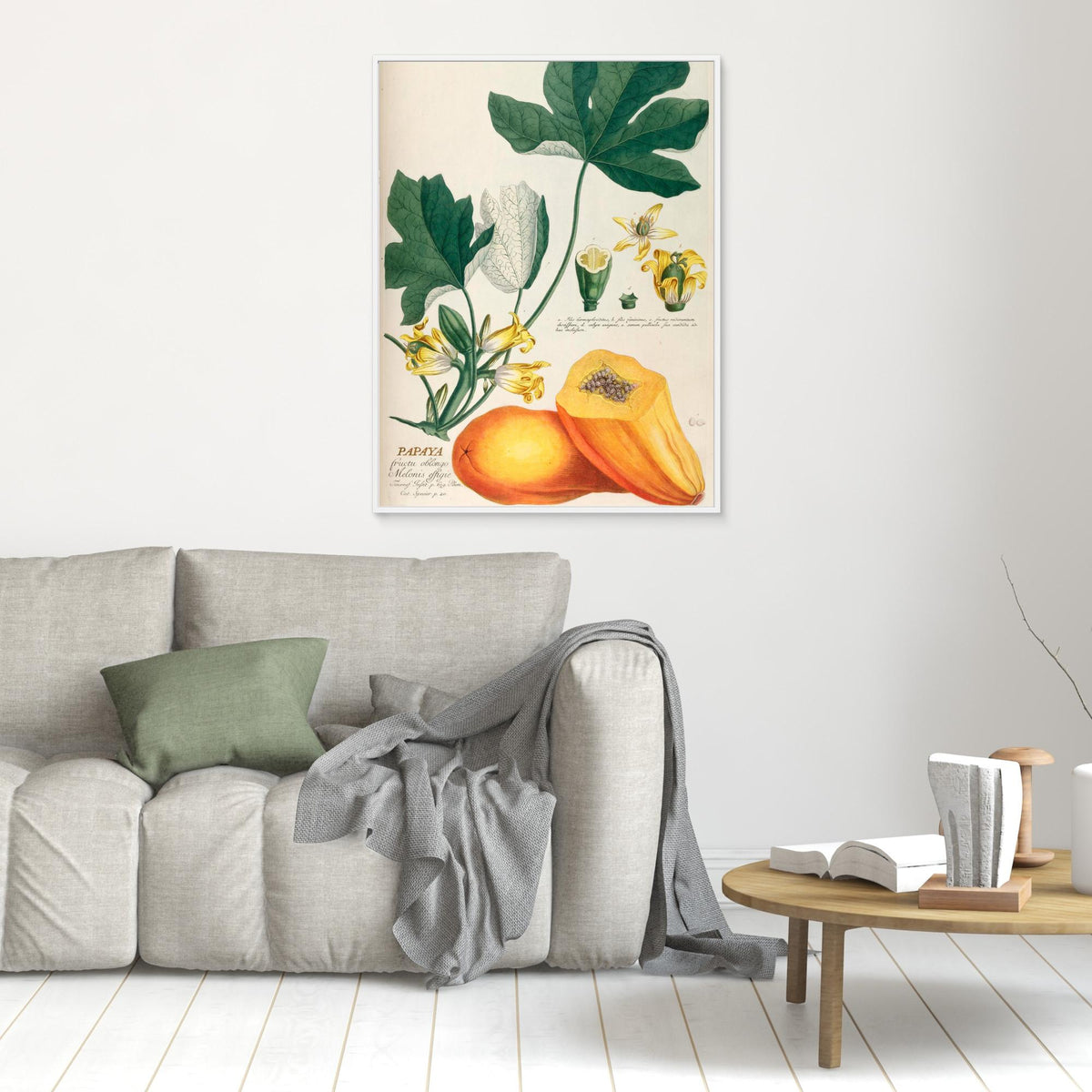 Canvas Print - Papaya by Elizabeth C