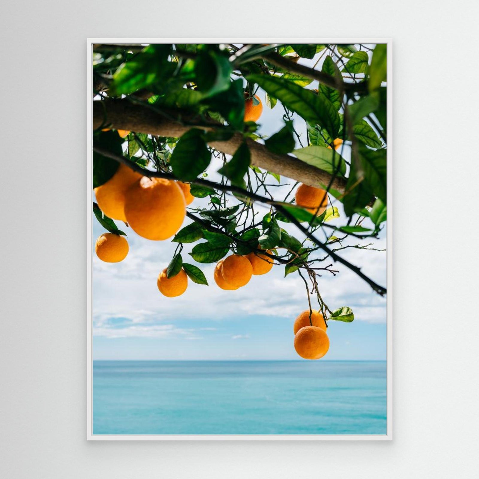 Canvas Print - Amalfi Coast Oranges IV by Bethany Young