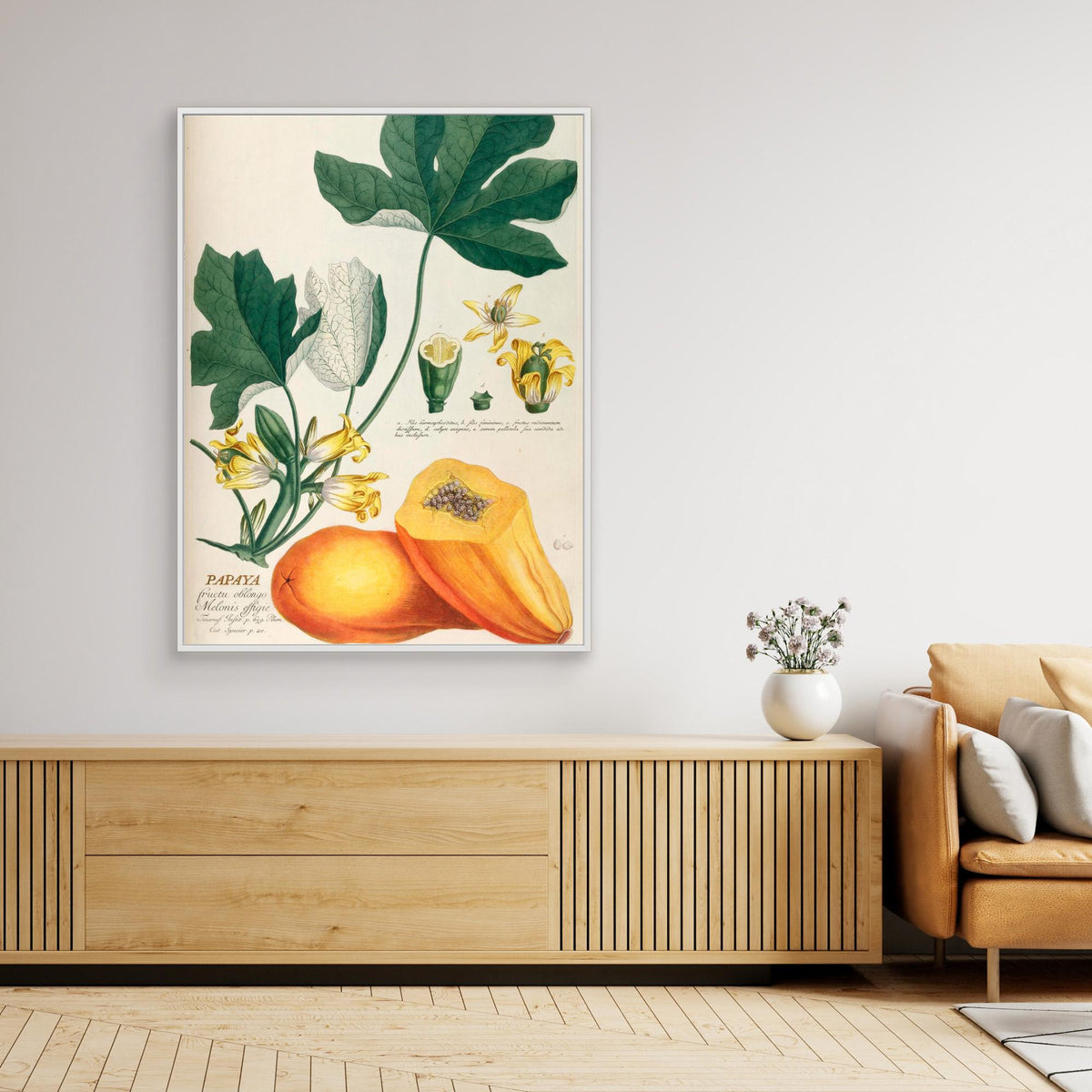 Canvas Print - Papaya by Elizabeth C
