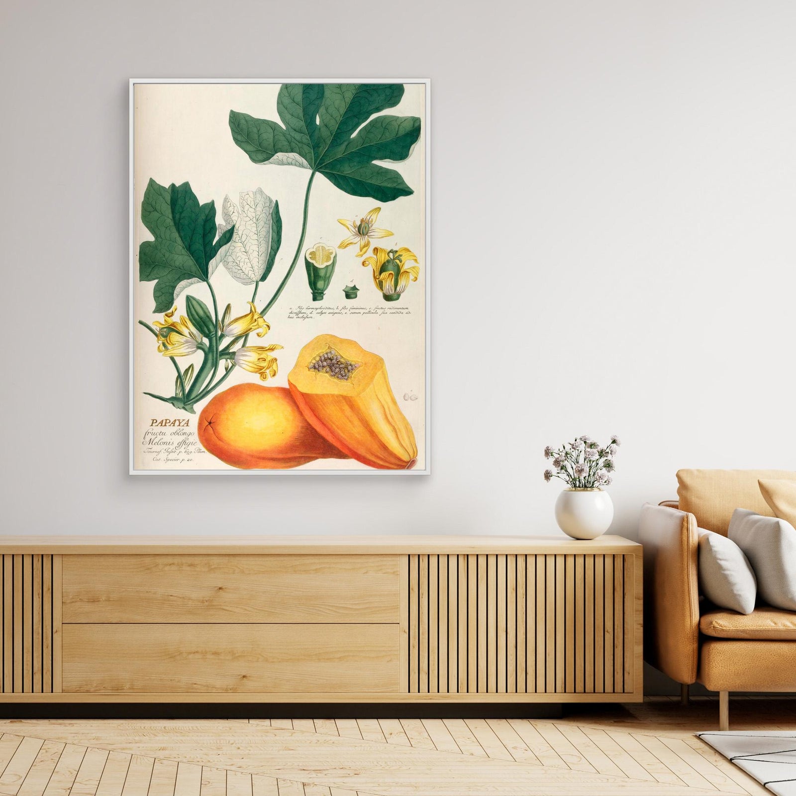 Canvas Print - Papaya by Elizabeth C