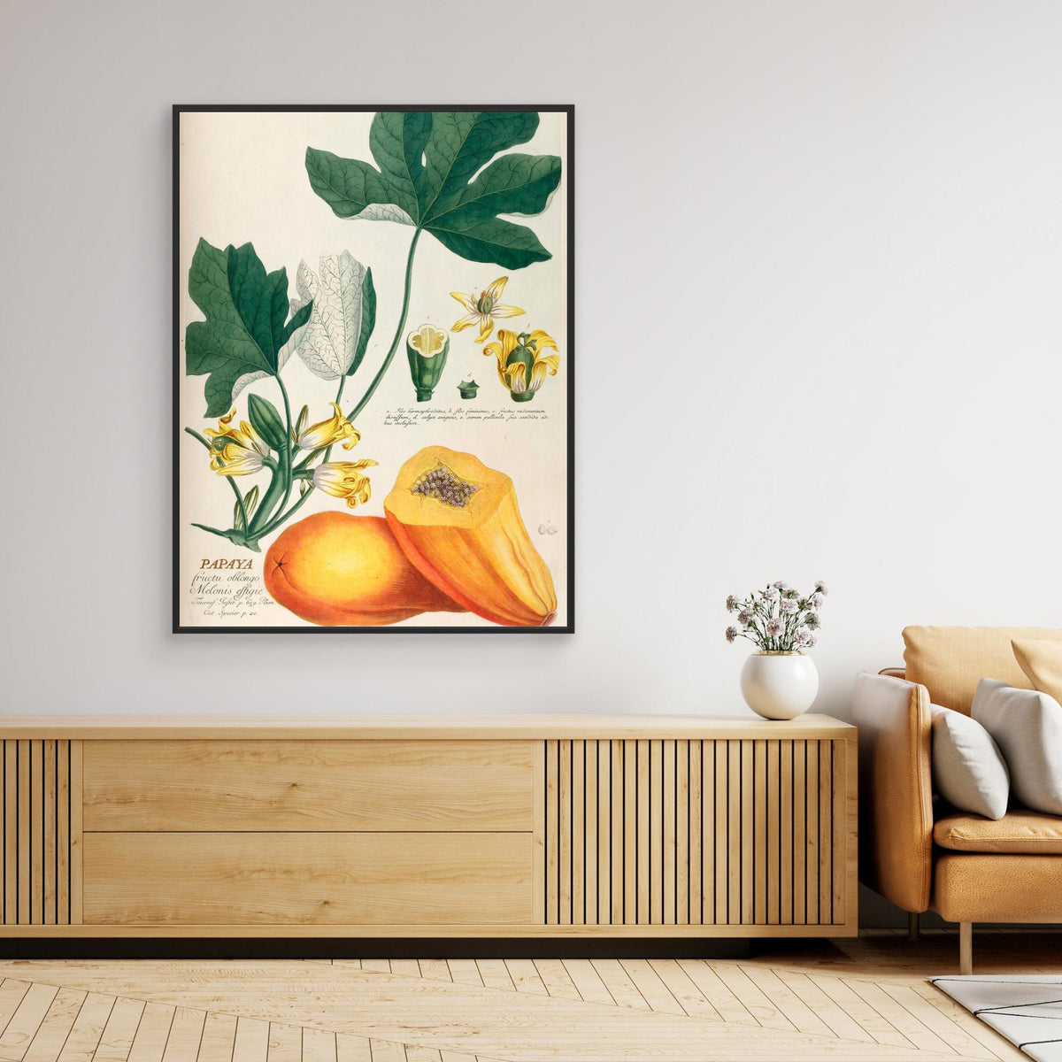 Canvas Print - Papaya by Elizabeth C
