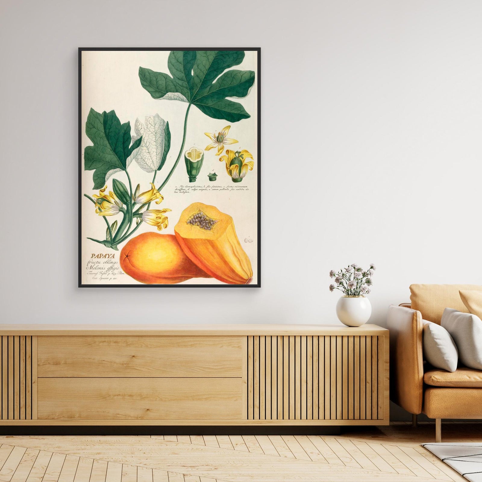 Canvas Print - Papaya by Elizabeth C
