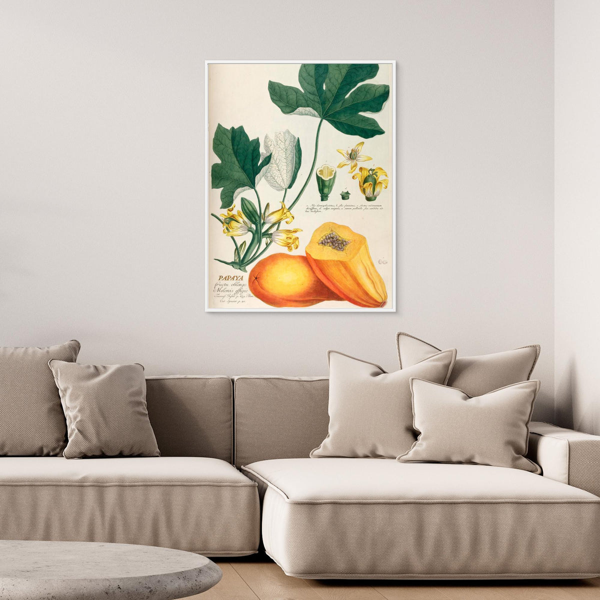 Canvas Print - Papaya by Elizabeth C