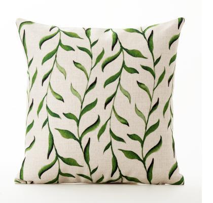 Ambergris Caye Collection