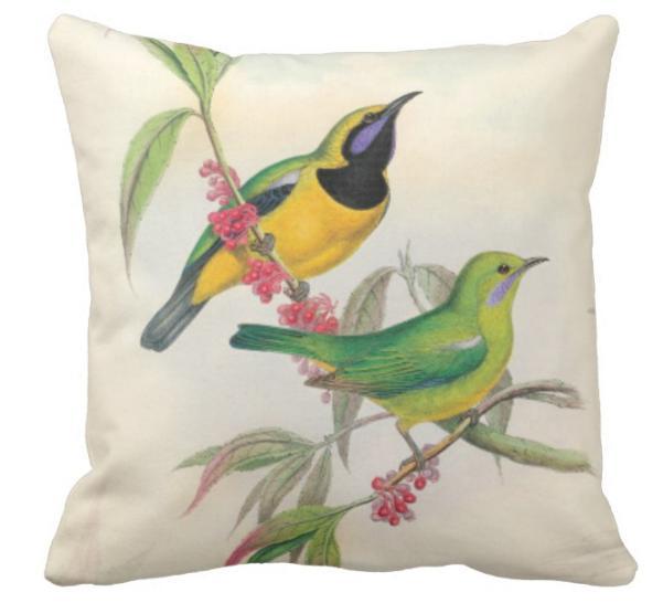 Birds &amp; Blooms Collection