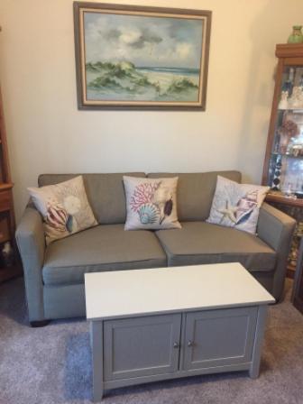 Christmas Conch Collection