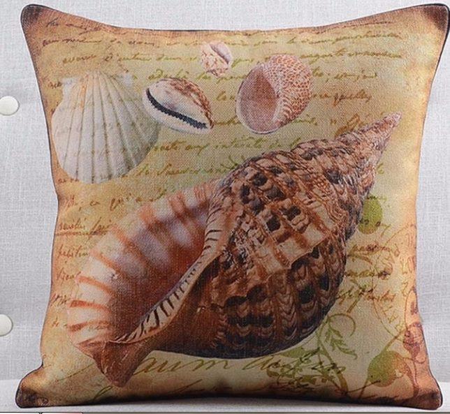 Coastal Shell Collection