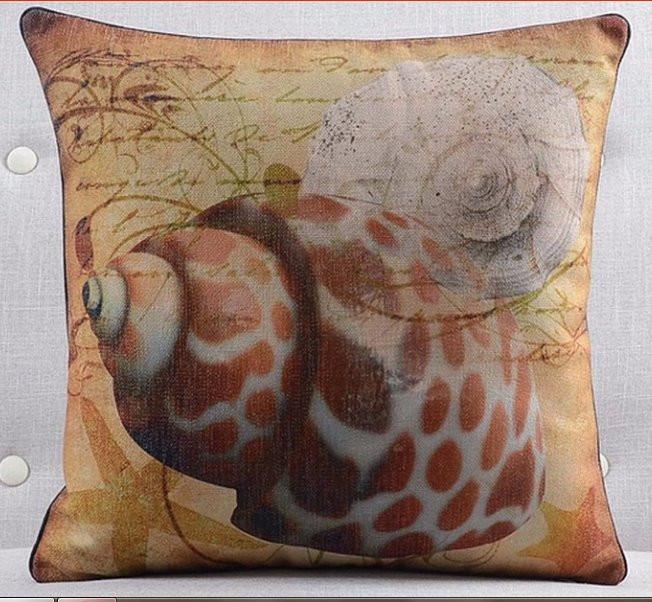 Coastal Shell Collection