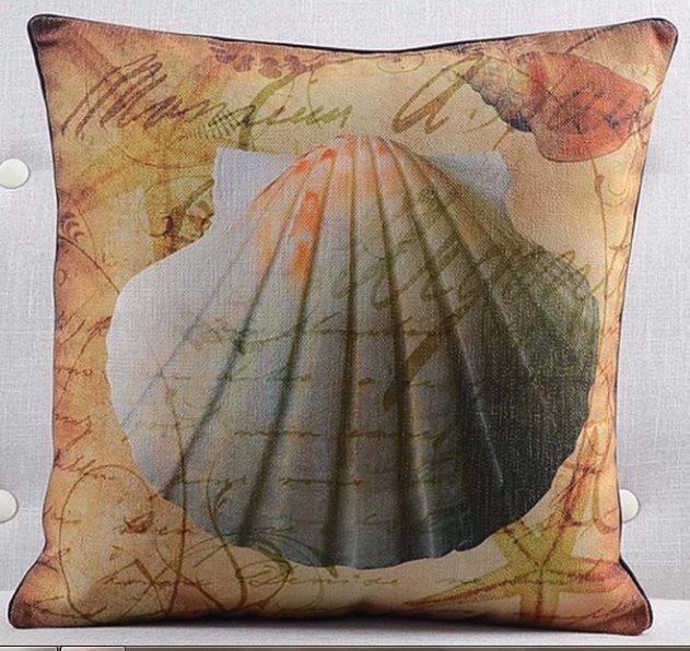 Coastal Shell Collection