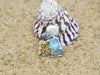 Octopus with Shell Beach Pendant - Only One Piece Created