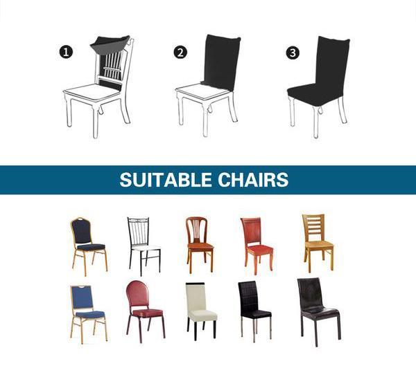 Pfeiffer Beach Chair Cover