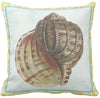 Seashells By The Seashore Collection